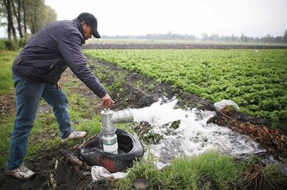 Conagua y Grupo Rotoplas firman acuerdo para impulsar tecnificación de riego en Morelos; estiman inversión de un mdp