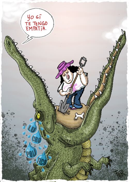 Cartón de FER