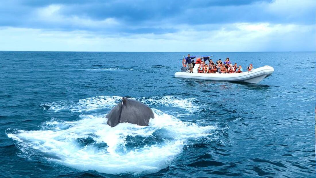 Foto: Vallarta Adventures