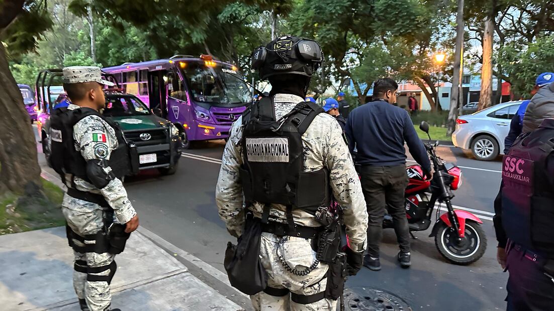 Durante las últimas tres semanas se han realizado estas revisiones en diversas zonas con la finalidad de desalentar la comisión de delitos. (Foto: especial)
