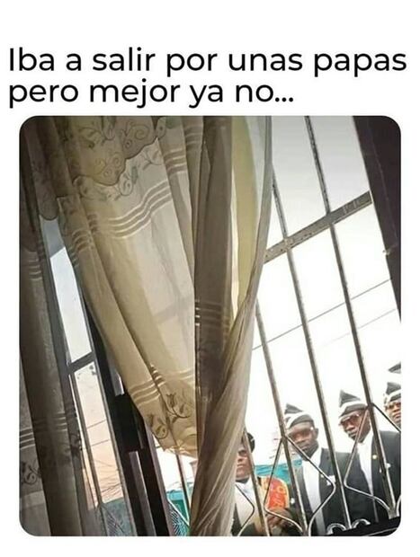 Memes, la "medicina" psicológica del confinamiento: BID