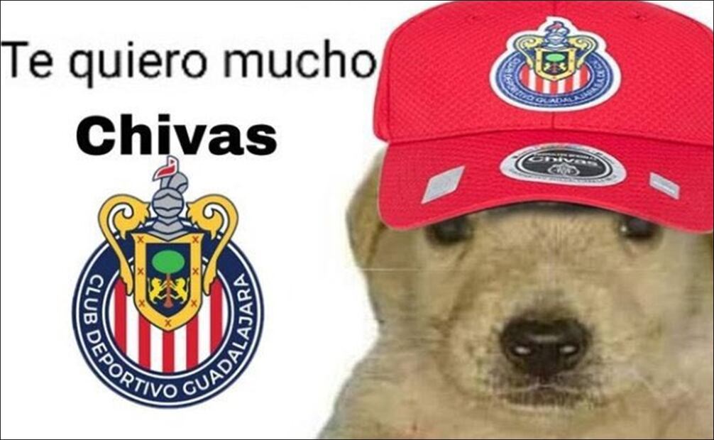Chivas aseguró el liderato de la Liga MX una jornada más y se ganó los mejores memes / FOTO: ESPECIAL