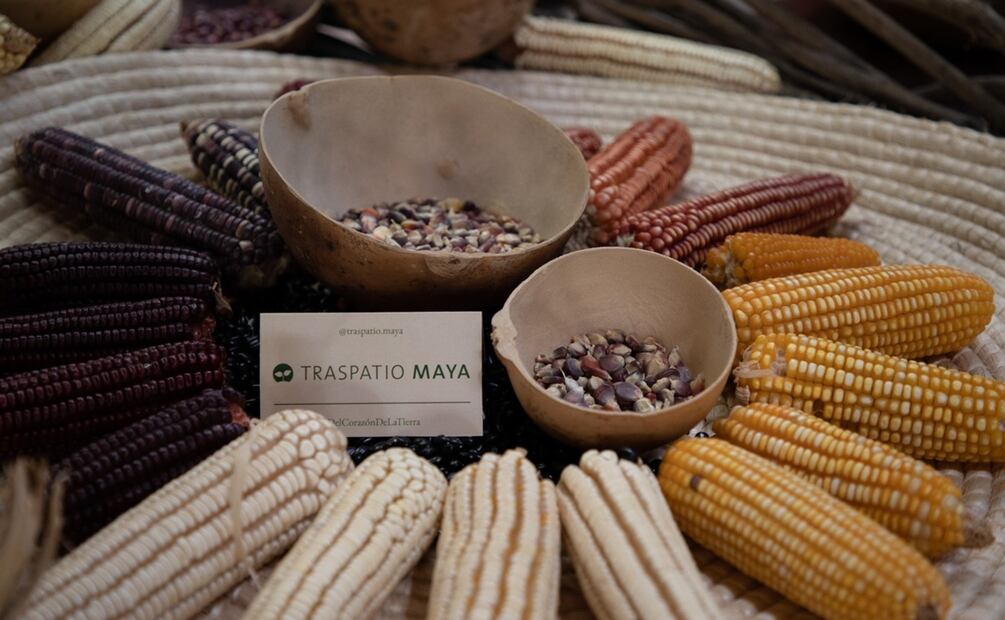 Traspatio Maya. Foto: Cortesía