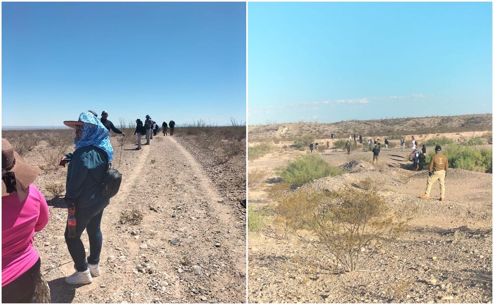 Durante los recorridos terrestres, se encuentran restos óseos en “El Mimbre”, Chihuahua. Foto: Especial