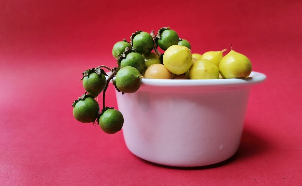 Los nanches son ricos en vitaminas y minerales. Foto: Freepik