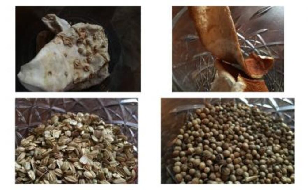 El maestro de la ginebra