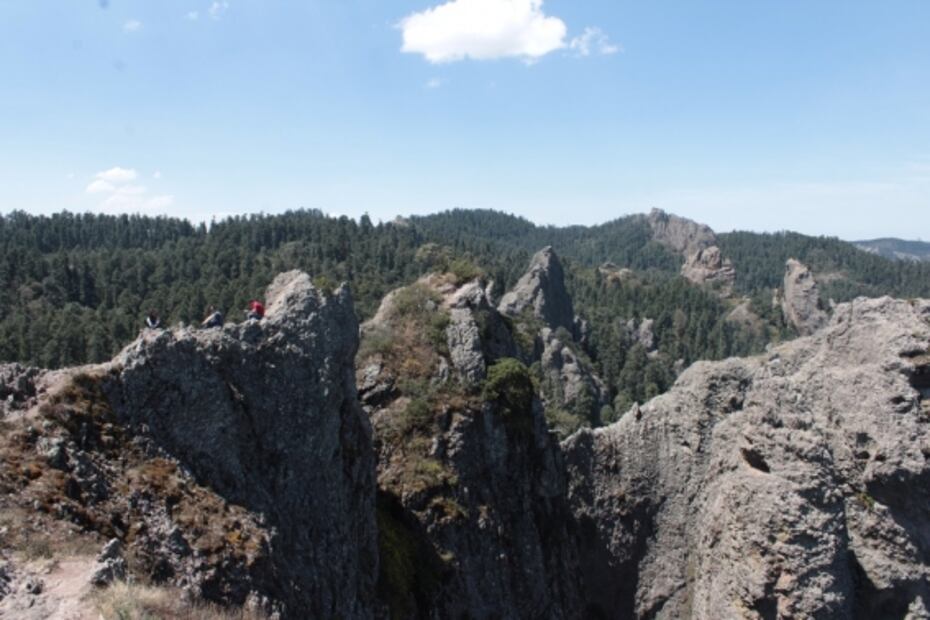 La belleza de nuestro primer Bosque Nacional 