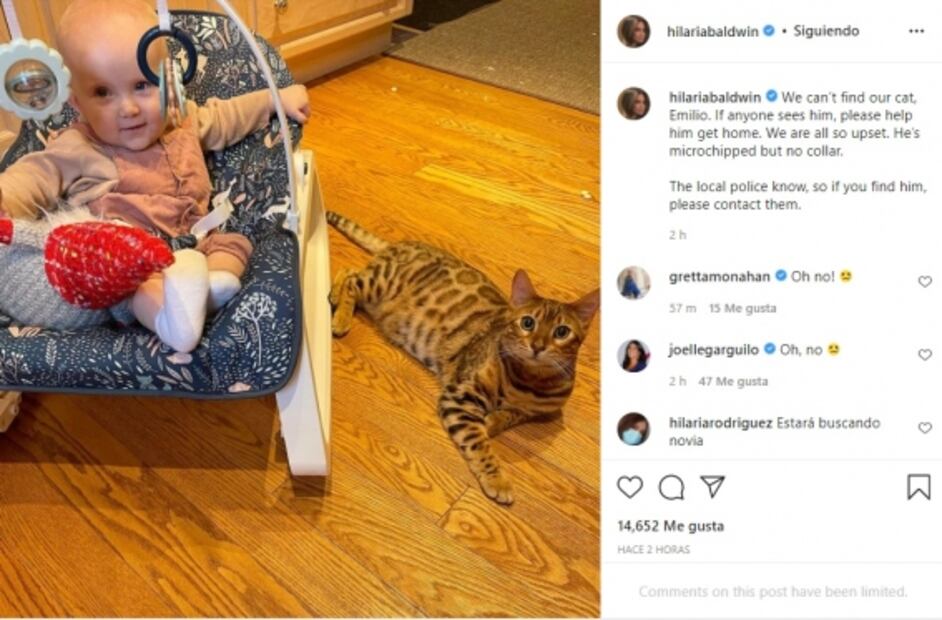 Críticas a la familia de Alec Baldwin: comparten fotos disfrazados y ahora buscan a su gato