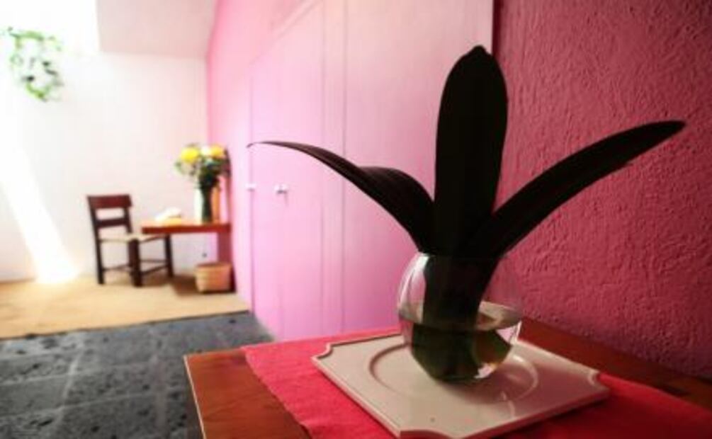 5 Barrios Mágicos de la CDMX para pasear y habitar