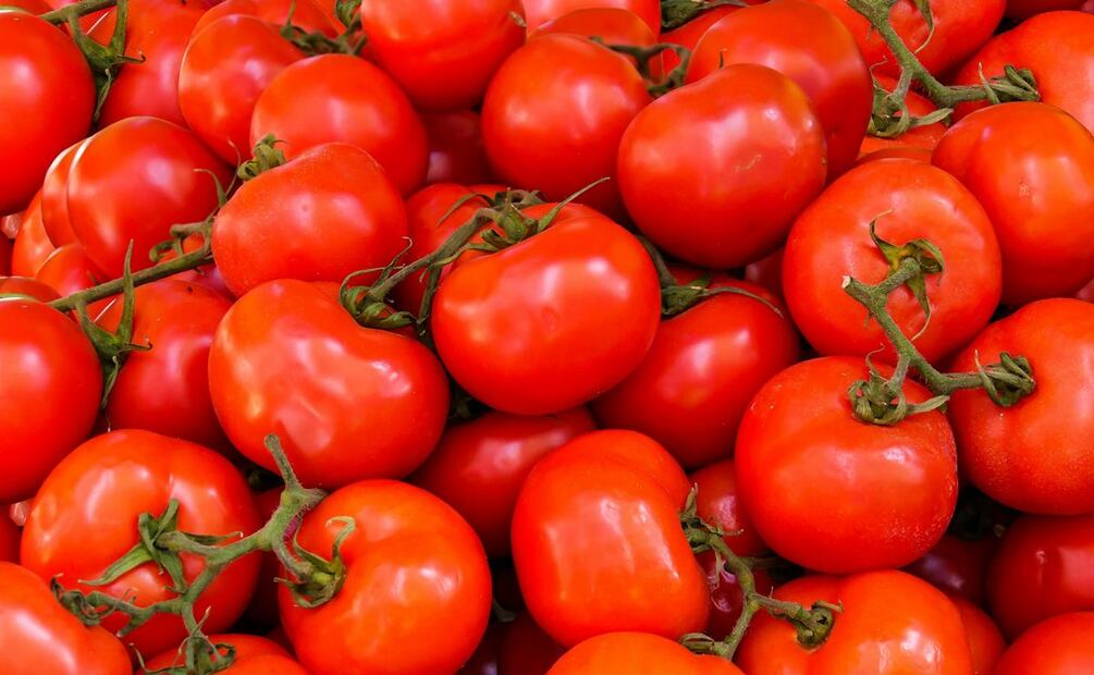 Productores nacionales plantearon un esquema que, dicen, beneficiará a los productores de esa jitomate de Florida. Foto: Pexels
