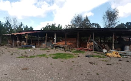 Aumenta tensión entre San Pedro El Alto y Santo Domingo Teojomulco; grupo armado ocupa de nuevo tierras en Sierra Sur de Oaxaca