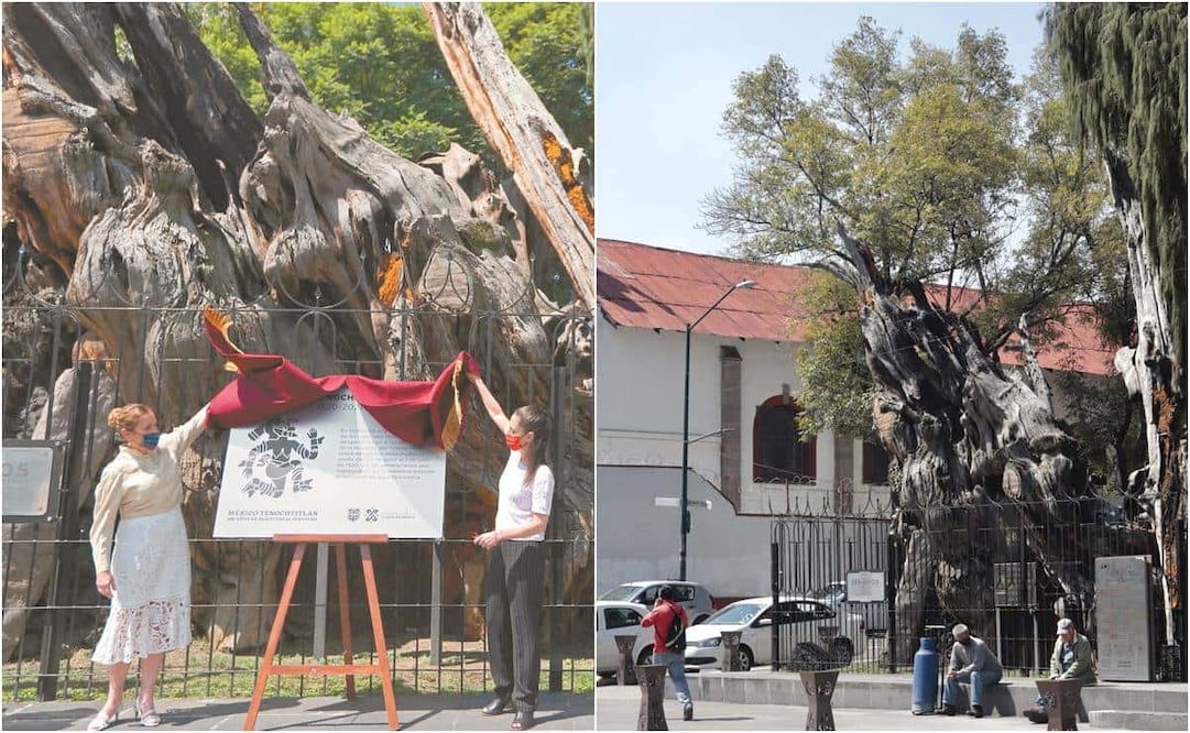 Fotos: ARCHIVO EL UNIVERSAL