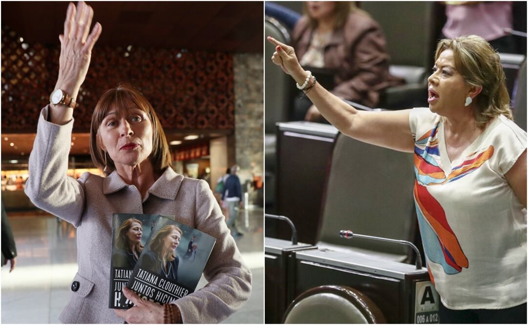 Diputadas Tatiana Clouthier (Morena) y Guadalupe Almaguer, respectivamente (PRD). Foto: Especial