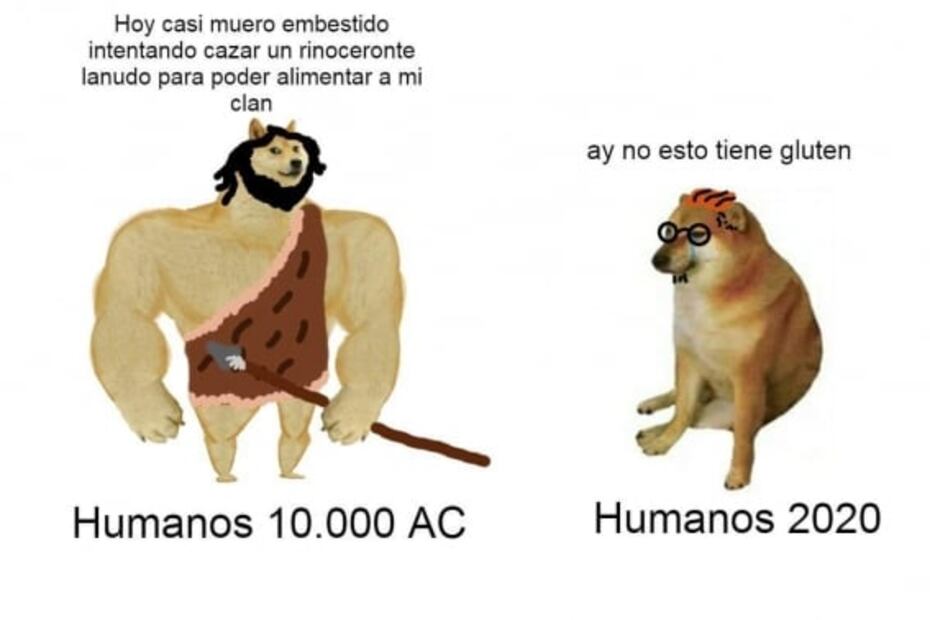 Los mejores memes de cheems, el perrito que nos muestra el antes y el ahora