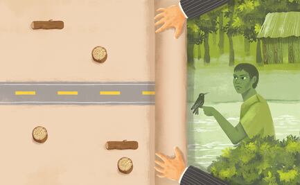 Amazonía, partida en dos por una carretera de Bolsonaro 