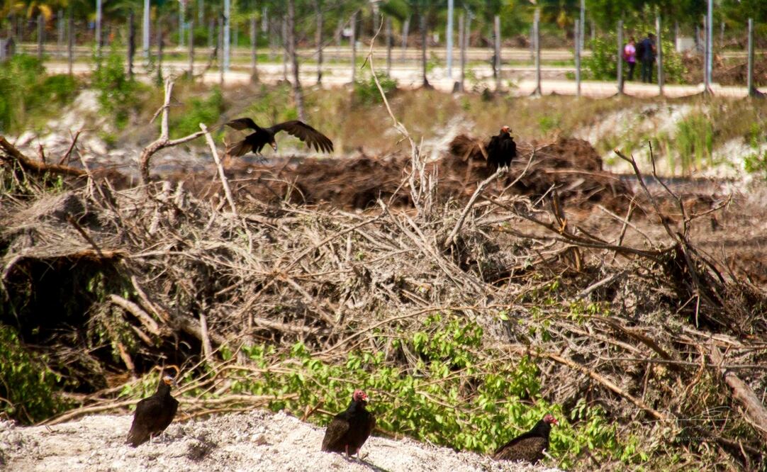Foto: Cortesia de Ruben G. Valverde / El Universal