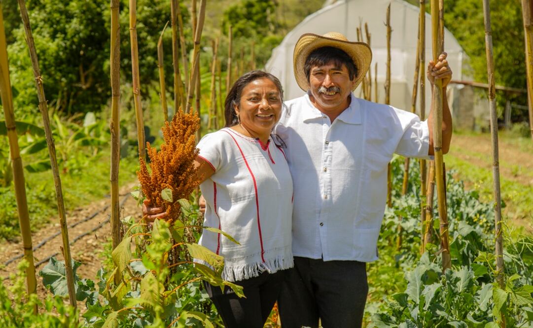 Fotos: Fernando Gómez Carbajal