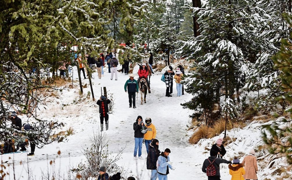 Cientos de familias caminaron, montaron a caballo sobre la nieve y se tomaron selfies del recuerdo en el Nevado de Toluca. Foto: Jorge Alvarado | El Universal (13/01/2025)