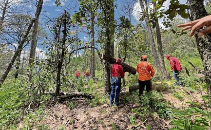 Alistan plan para sanear el Cerro de Jocotitlán