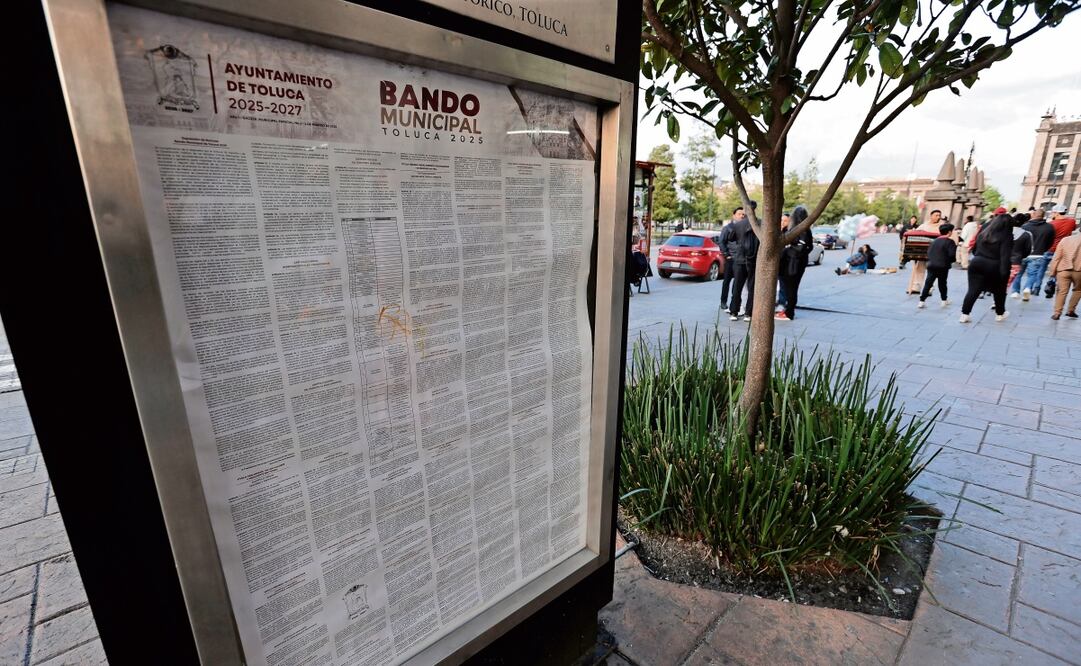 Los gobiernos municipales deberán incluir las multas en los bandos. Foto: Jorge Alvarado / EL UNIVERSAL