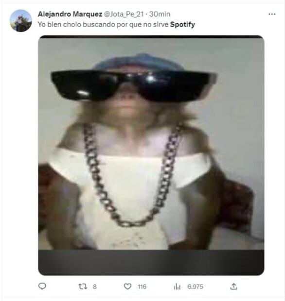 No son tus datos, Spotify se cae