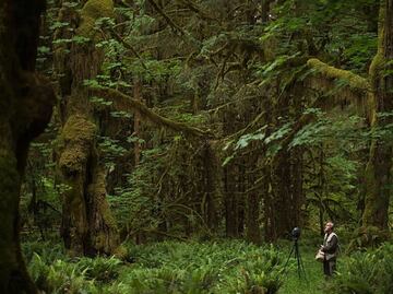 La cruzada por salvar el silencio, el "sonido" más amenazado del mundo