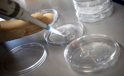 Estudiarán uso de células iPS en inmunoterapia frente al cáncer