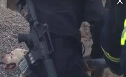 Pit bull dogs kill burglar in Sonora