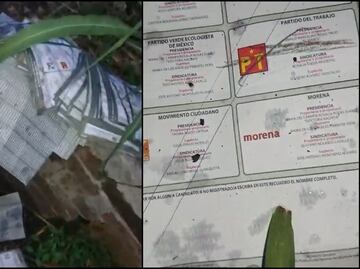 Hallan boletas tiradas entre cañales marcadas a favor del PT en Veracruz; candidato ocupa la tercera posición