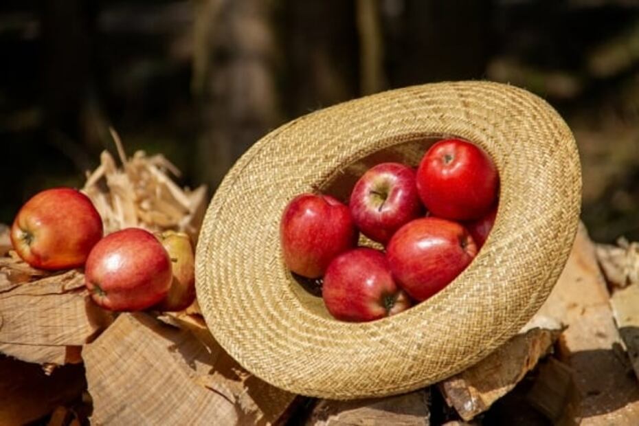 5 alimentos que debes comer en otoño