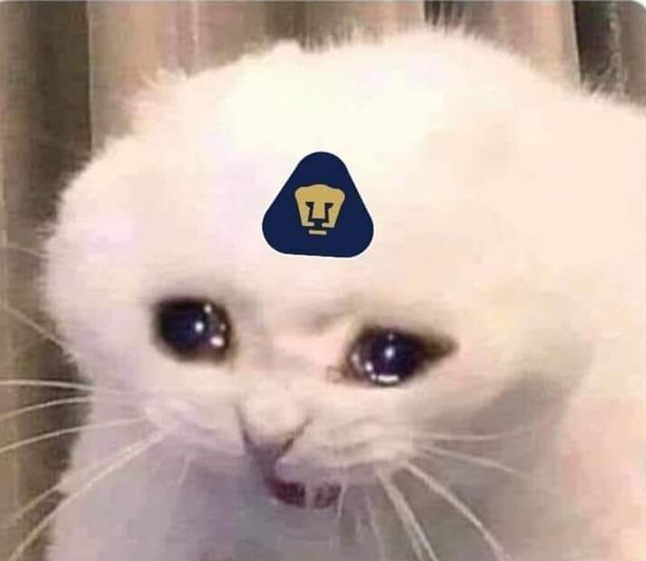 Memes de Pumas