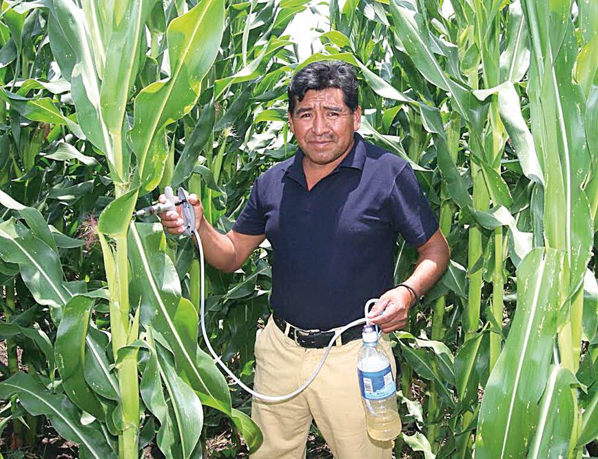 Leobardo trabaja cinco hectáreas de terrenos en la población de San Félix Hidalgo, en Atlixco, donde emprendió una aventura para impulsar el cultivo de un alimento característico de la cultura prehispánica (OMAR CONTRERAS. EL UNIVERSAL)