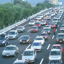 De poco interés, el seguro obligatorio