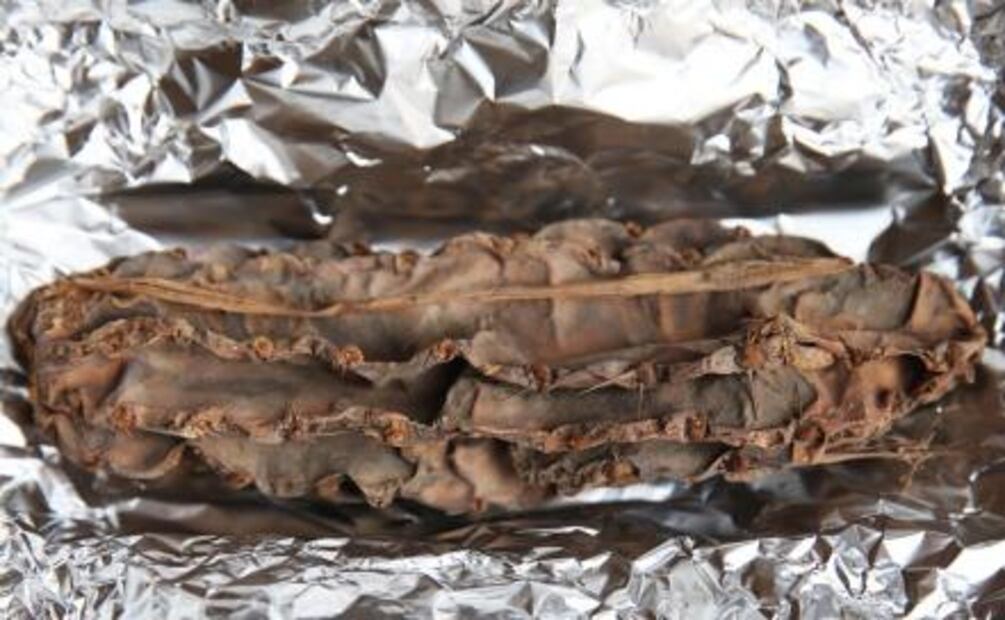 Encuentran cactus milenario en Perú