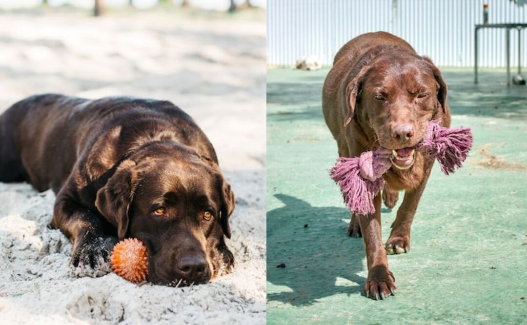 La prevención es la mejor defensa contra el golpe de calor. Fuente: Freepik.