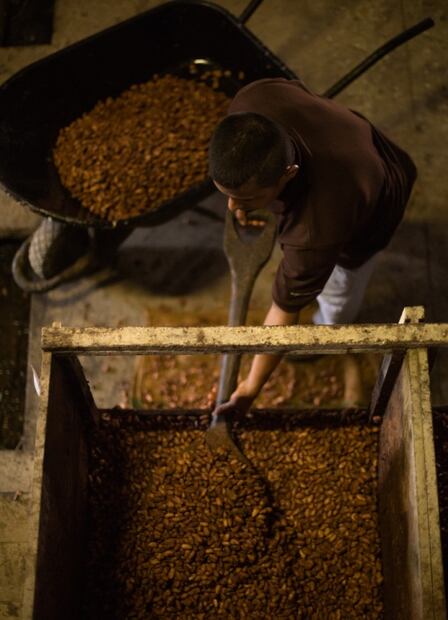 My Field to Bar, el nuevo proyecto de Luis Robledo con cacao ecuatoriano