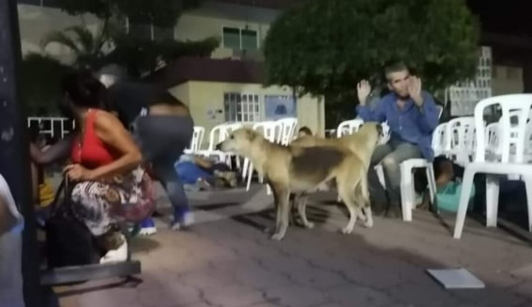 Hombres encapuchados lanzan amenaza en video contra alcalde de Iguala 