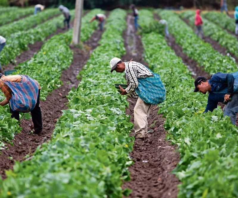Las organizaciones piden a los diputados que representen a los 170 millones de mexicanos en el mundo, no sólo a los que viven en el país. Foto: Archivo EL UNIVERSAL