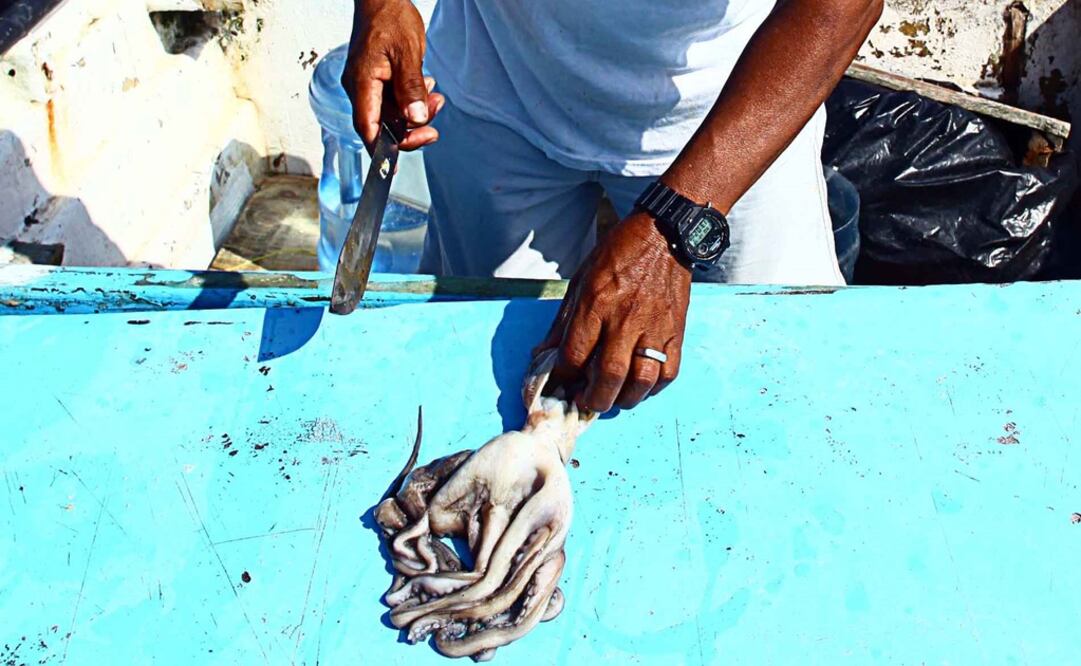 Foto: Archivo. El Universal.