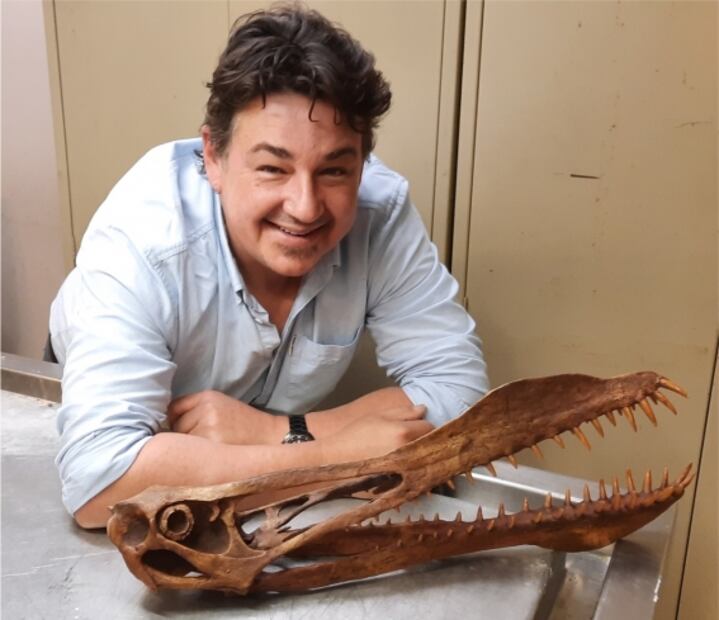 Como un dragón, así es la nueva especie de dinosaurio recién descubierta