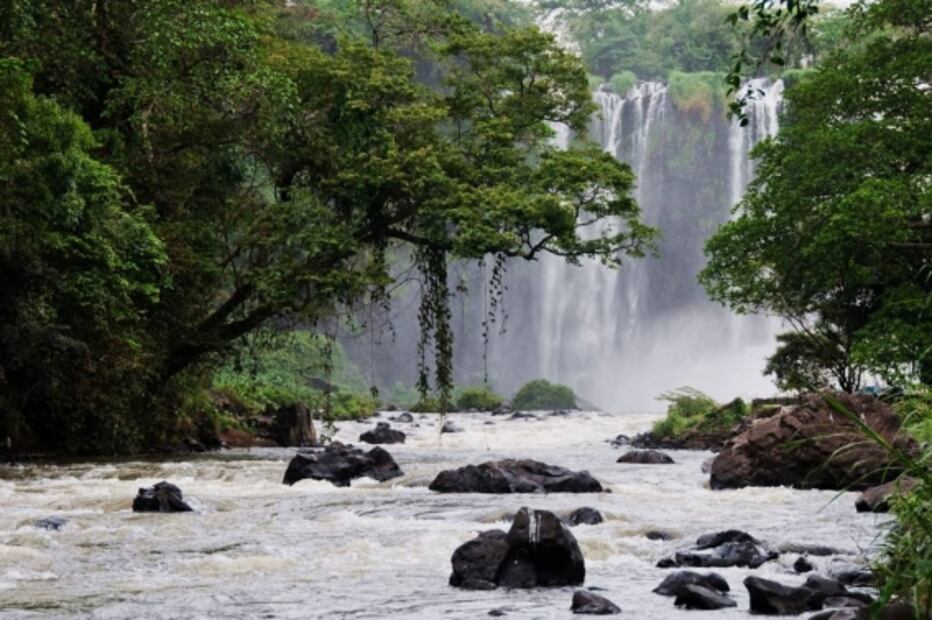 Selección de la editora: 5 paraísos de vida silvestre en México que otros países envidiarían