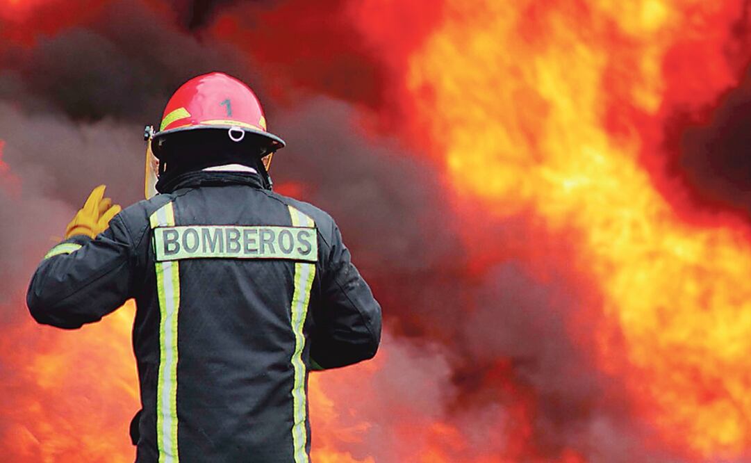 Wildfires affect climate regulation in metropolitan areas, reduce animal species’ habitats, and diminish vegetative covers that generate humidity - Photo: File photo/EL UNIVERSAL