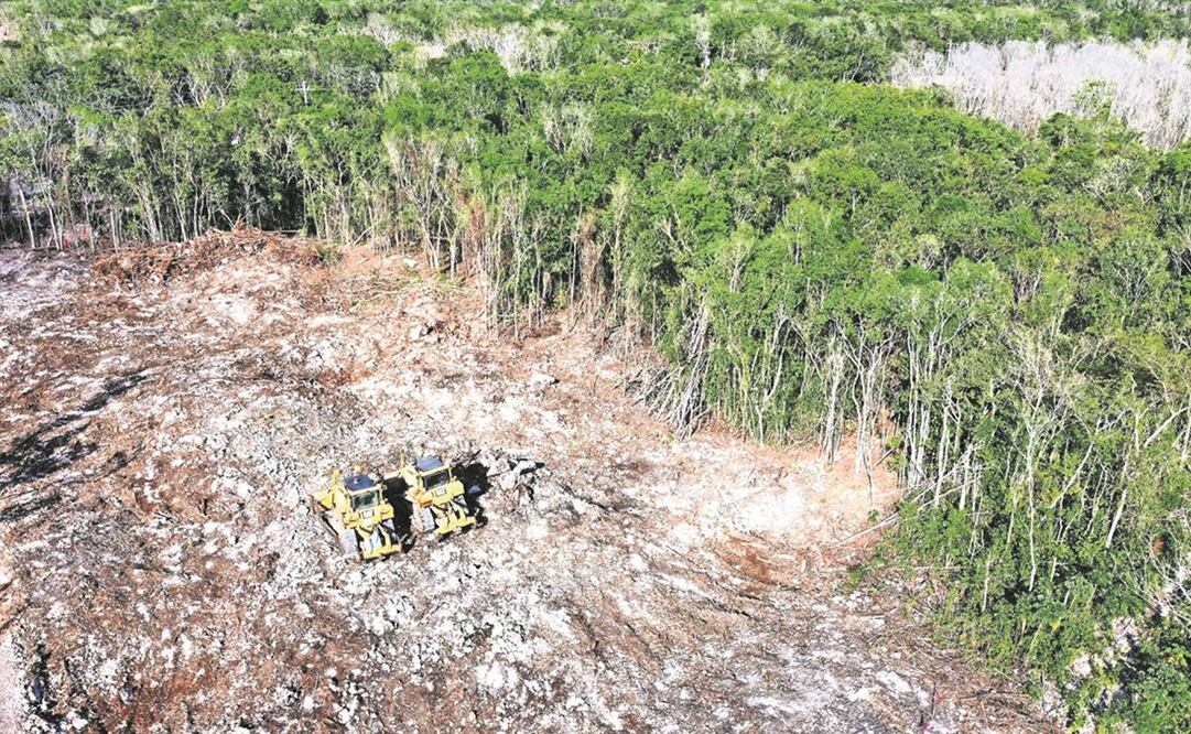 Obras en marcha en el Tren Maya, uno de los proyectos prioritarios del gobierno federal que se realiza en la Península de Yucatán. Foto: Archivo EL UNIVERSAL 