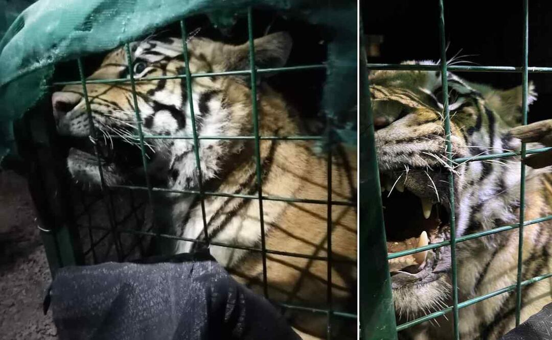 Foto ilustrativa: Archivo