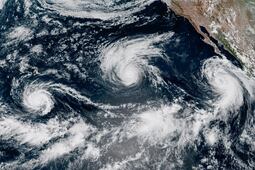 ALERTA EN EL PACÍFICO: tres huracanes avanzan al mismo tiempo, dos de categoría 4; ¿qué provoca El Niño?