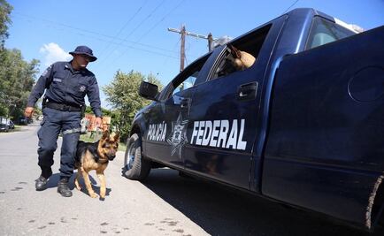 Despiden en Minatitlán a 3 mujeres halladas en fosa clandestina