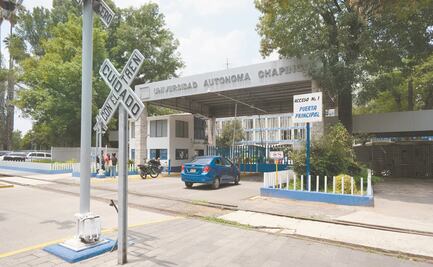 Tratamiento de Chapingo ayuda a sobrellevar enfermedad