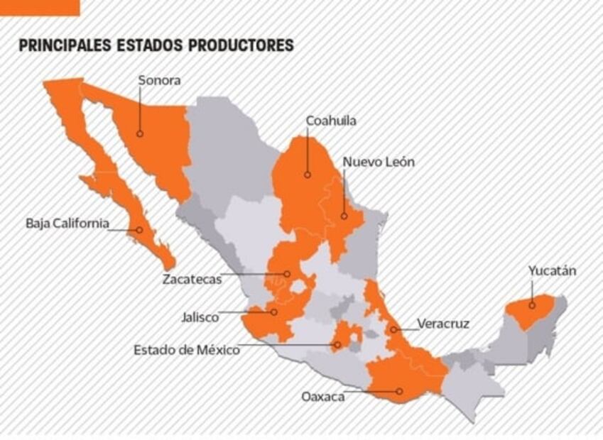Datos que quizás no sabías de la cerveza en México