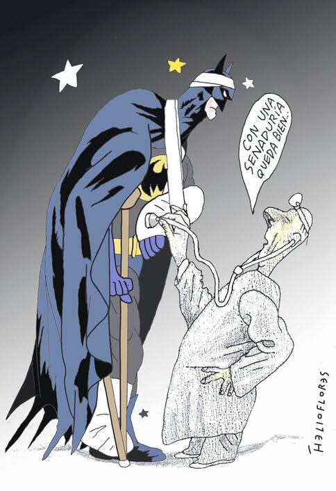 Cartón de HELIOFLORES