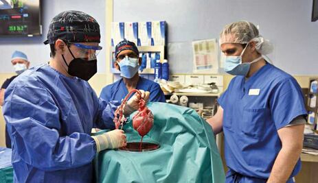 El envejecimiento de cada órgano de nuestro cuerpo es distinto, depende del ritmo en que trabaja: estudio 